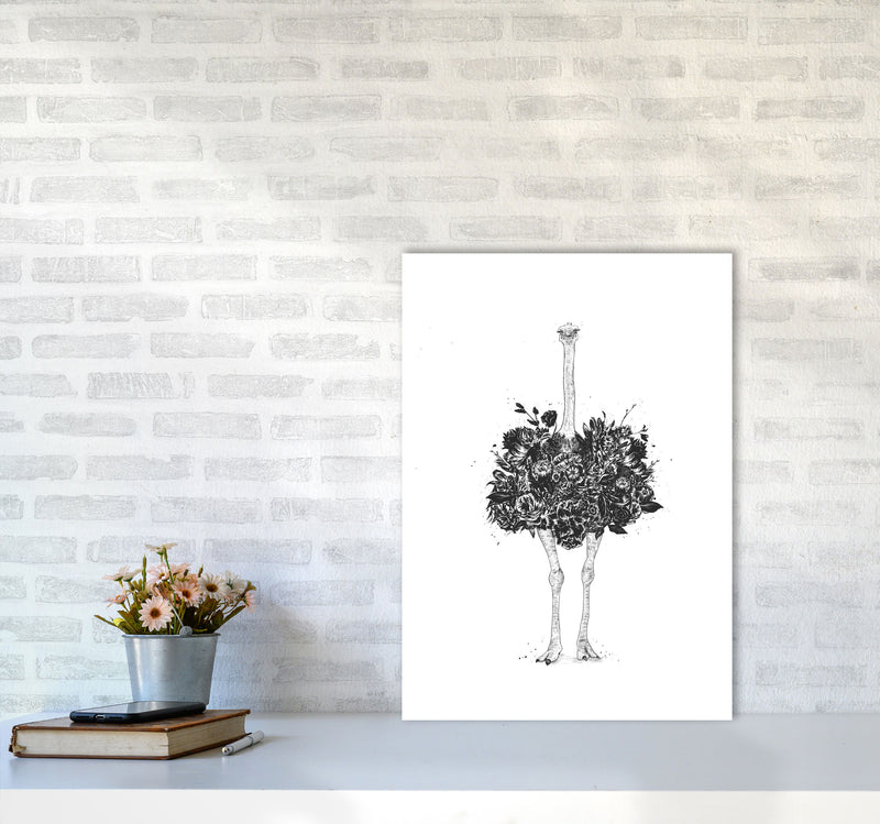Floral Ostrich Animal Art Print by Balaz Solti A2 Black Frame