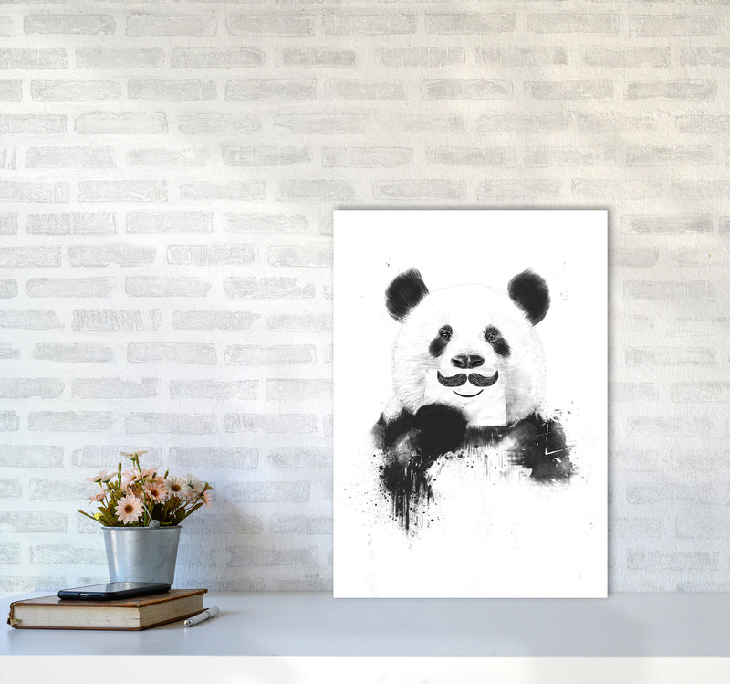 Funny Panda Animal Art Print by Balaz Solti A2 Black Frame