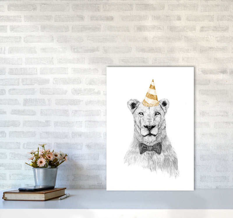 Get The Party Started Lion Colour Animal Art Print by Balaz Solti A2 Black Frame