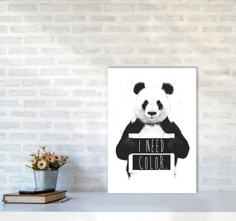 I Need Colour Panda Animal Art Print by Balaz Solti A2 Black Frame
