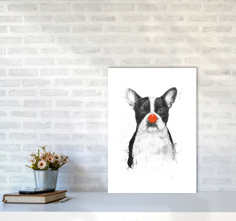 I'm Not Your Clown Bulldog Animal Art Print by Balaz Solti A2 Black Frame