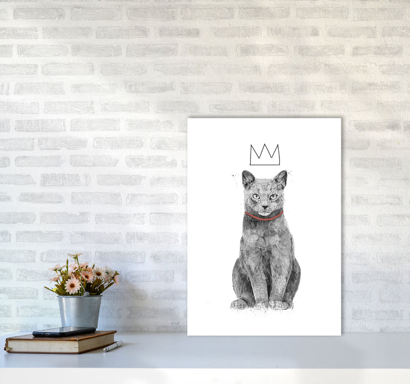 King Of Everything Animal Art Print by Balaz Solti A2 Black Frame