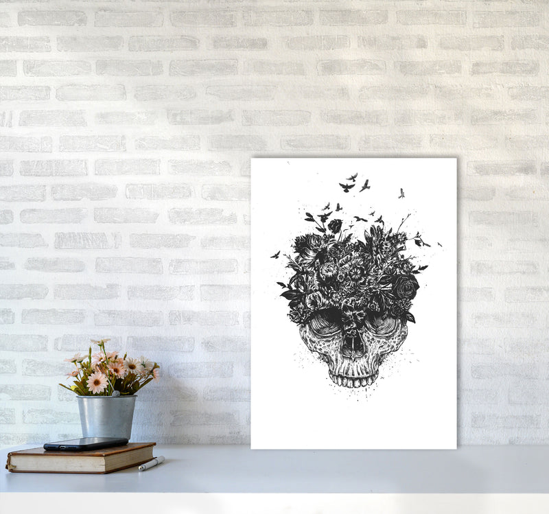 My Head Is A Jungle Skull B&W Art Print by Balaz Solti A2 Black Frame