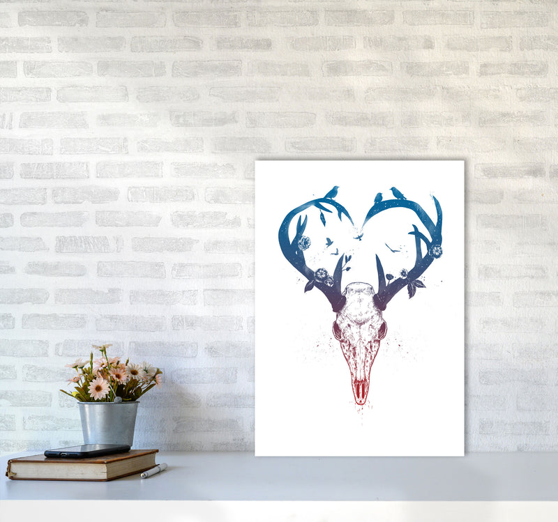 Never-ending Love Deer Skull Animal Art Print by Balaz Solti A2 Black Frame