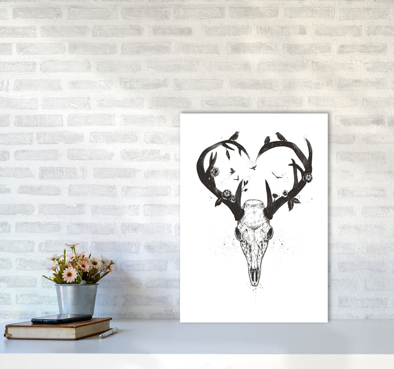 Never-ending Love Deer Skull B&W Animal Art Print by Balaz Solti A2 Black Frame