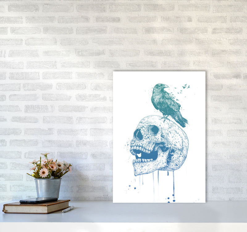 Skull & Raven Colour Animal Art Print by Balaz Solti A2 Black Frame