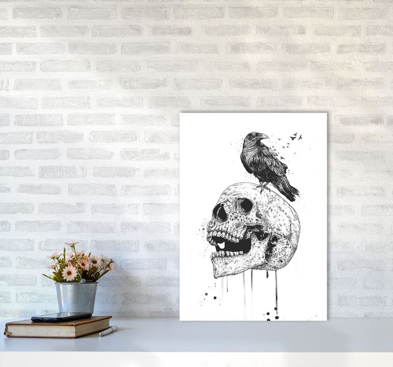 Skull & Raven B&W Animal Art Print by Balaz Solti A2 Black Frame