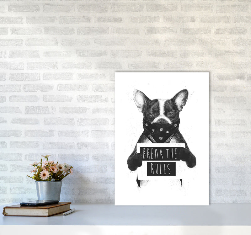Rebel Bulldog Animal Art Print by Balaz Solti A2 Black Frame