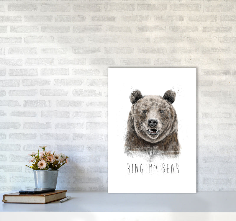 Ring My Bear Animal Art Print by Balaz Solti A2 Black Frame