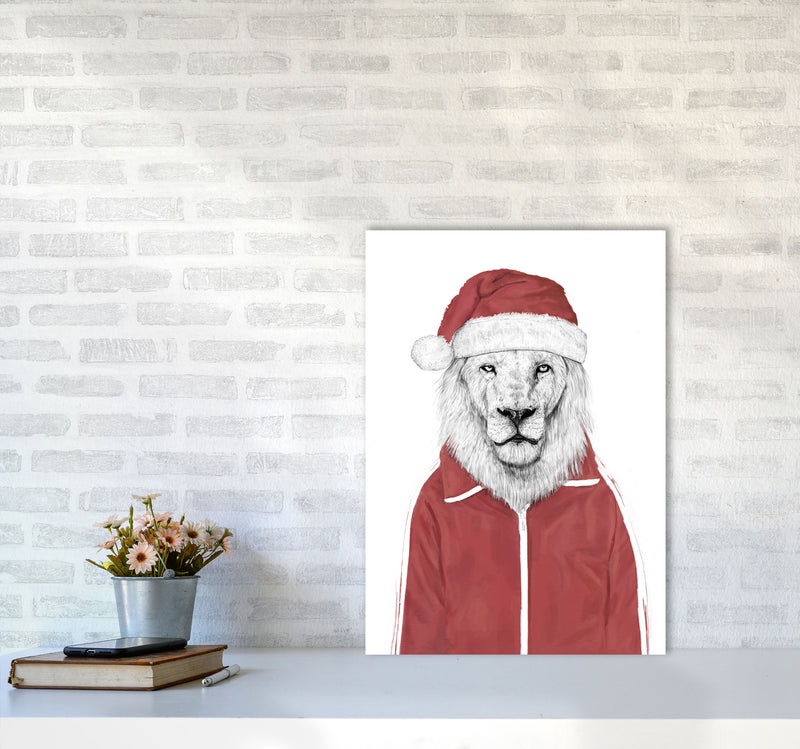 Santa Lion Animal Art Print by Balaz Solti A2 Black Frame
