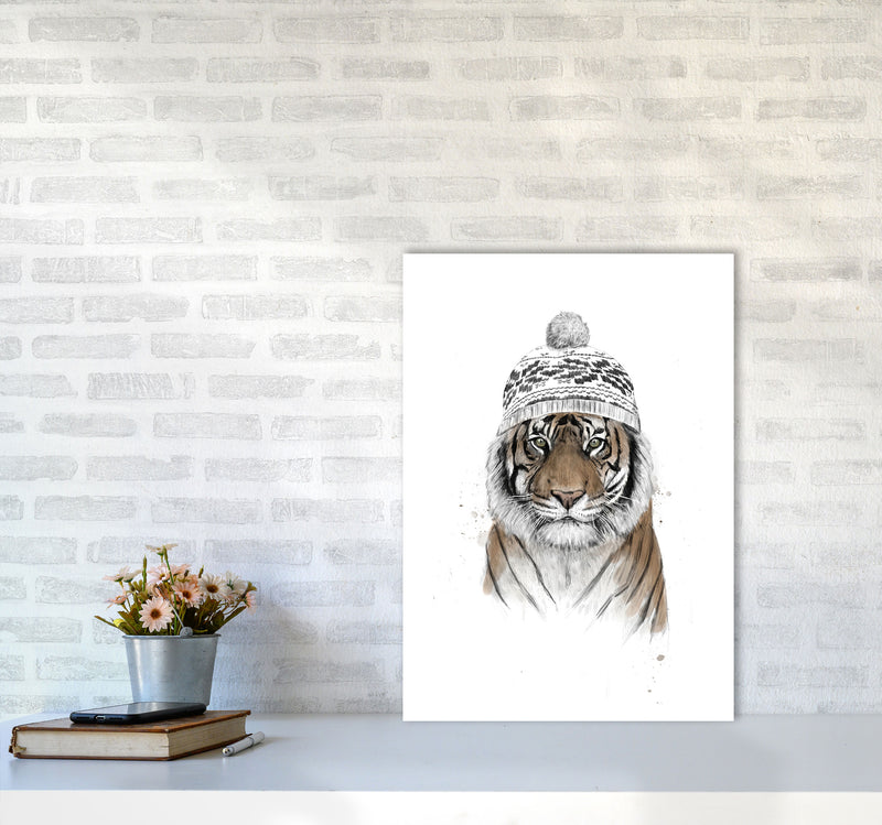 Siberian Tiger Animal Art Print by Balaz Solti A2 Black Frame