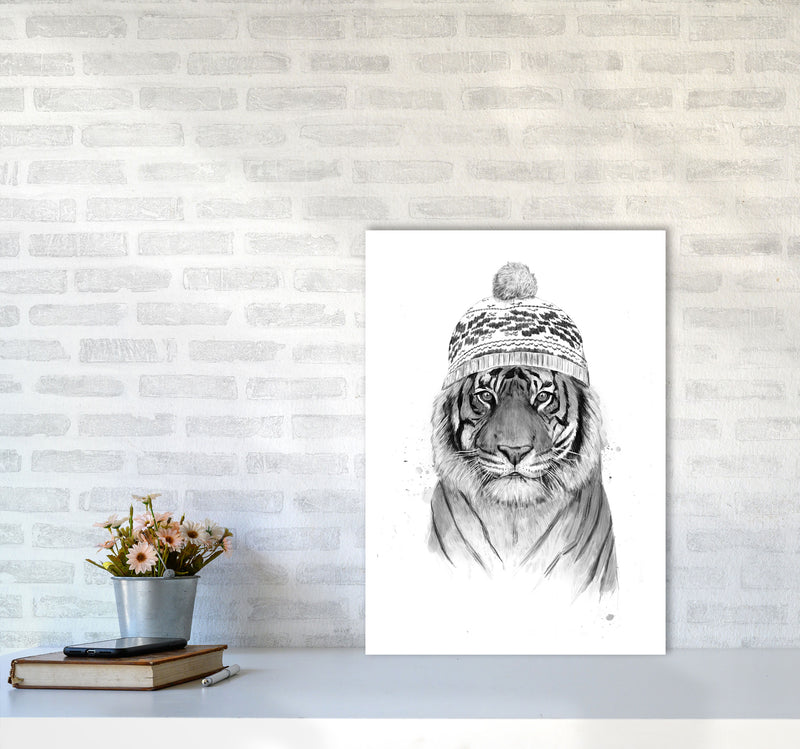 Siberian Tiger B&W Animal Art Print by Balaz Solti A2 Black Frame