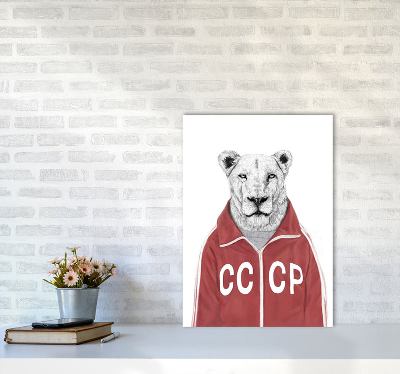 Soviet Lion Animal Art Print by Balaz Solti A2 Black Frame