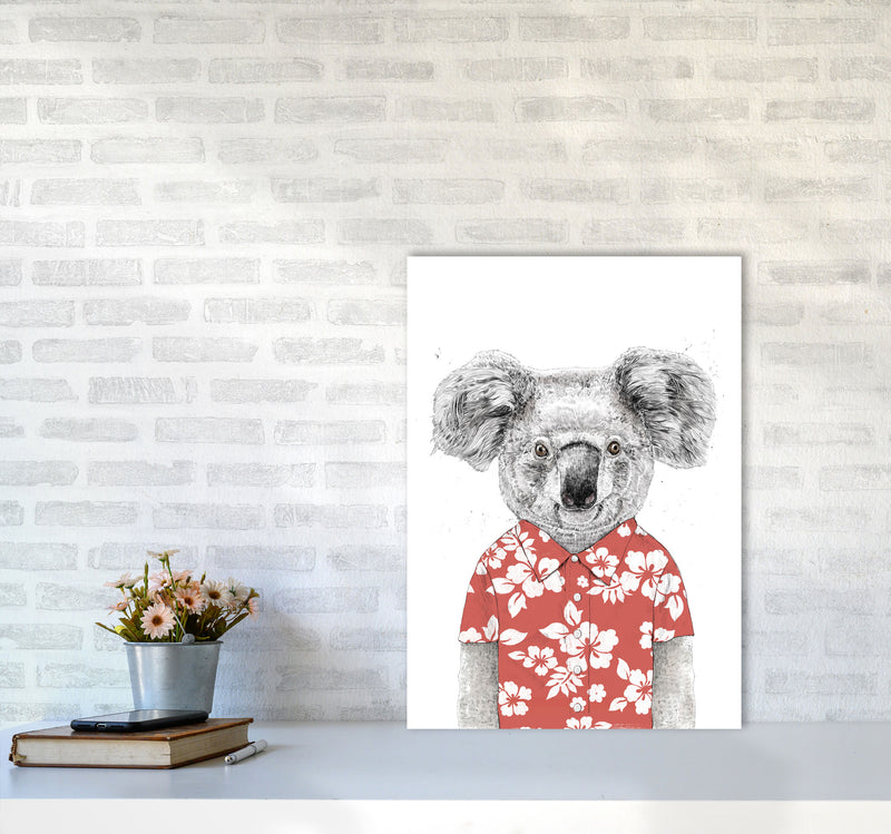 Summer Koala Red Animal Art Print by Balaz Solti A2 Black Frame