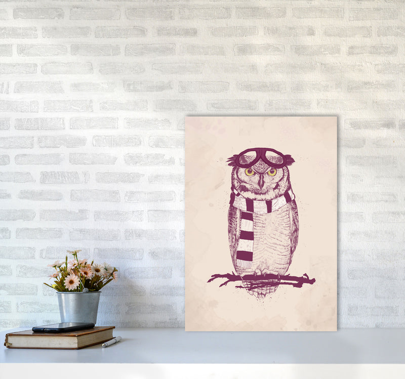 The Aviator Owl Animal Art Print by Balaz Solti A2 Black Frame