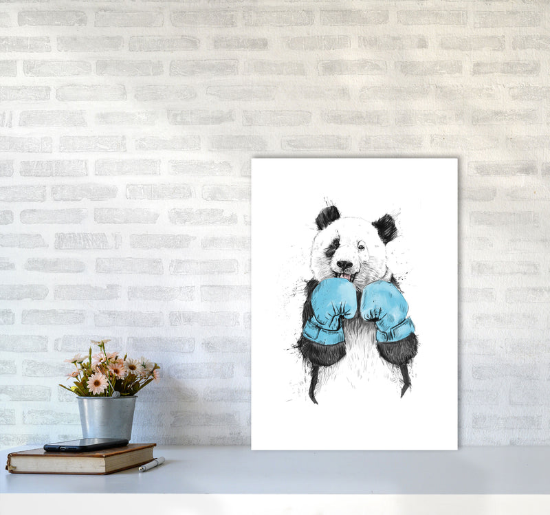The Winner Boxing Panda Animal Art Print by Balaz Solti A2 Black Frame
