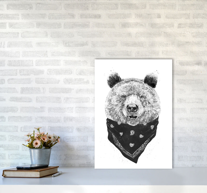 Wild Bear Animal Art Print by Balaz Solti A2 Black Frame
