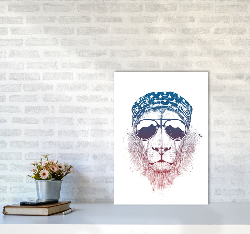 Wild Lion Colour Animal Art Print by Balaz Solti A2 Black Frame