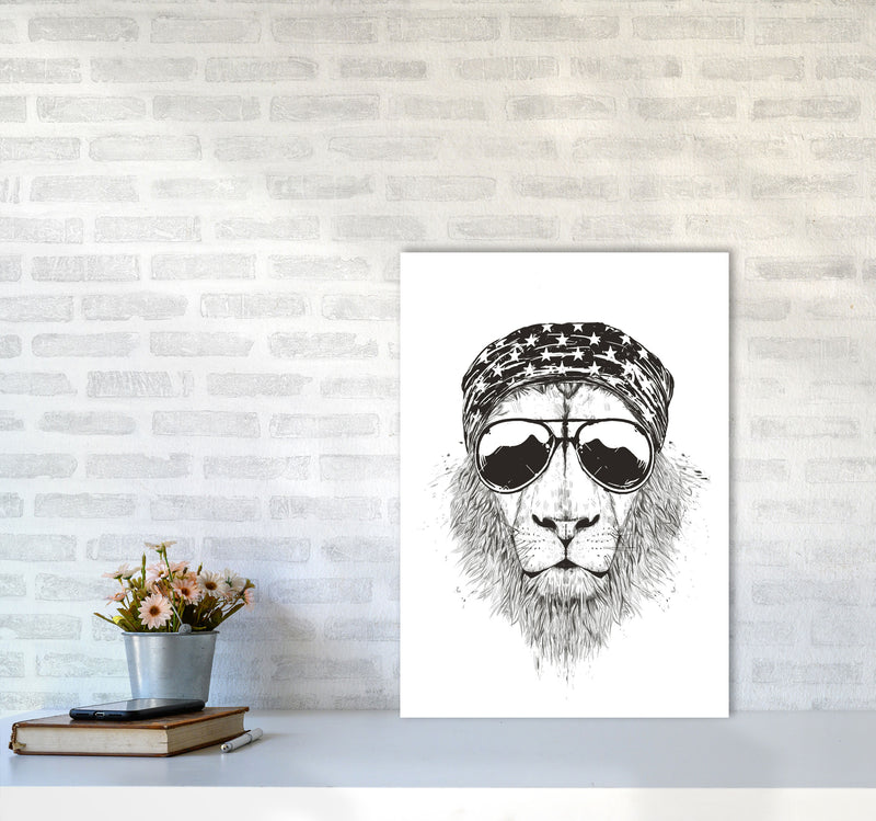 Wild Lion B&W Animal Art Print by Balaz Solti A2 Black Frame