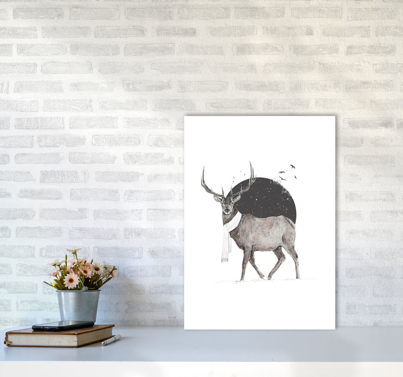Winter Is All Around Stag Colour Animal Art Print by Balaz Solti A2 Black Frame