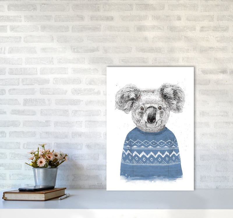 Winter Koala Blue Animal Art Print by Balaz Solti A2 Black Frame