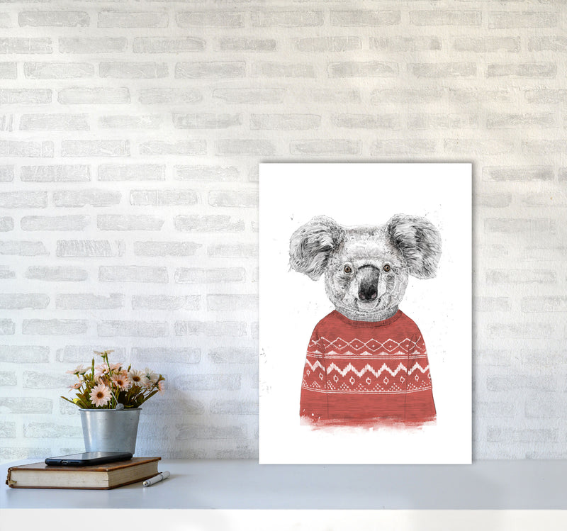 Winter Koala Red Animal Art Print by Balaz Solti A2 Black Frame