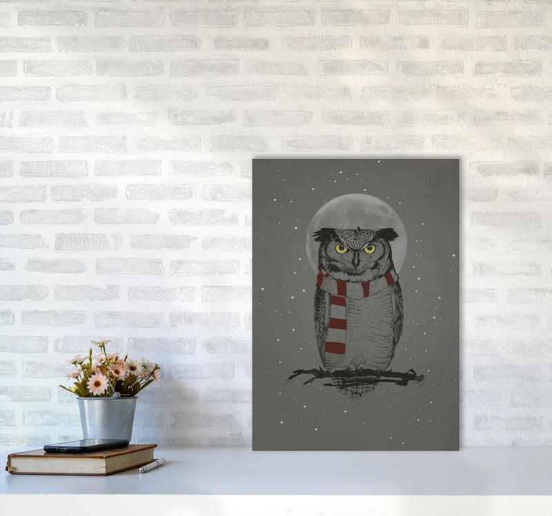 Winter Owl Animal Art Print by Balaz Solti A2 Black Frame