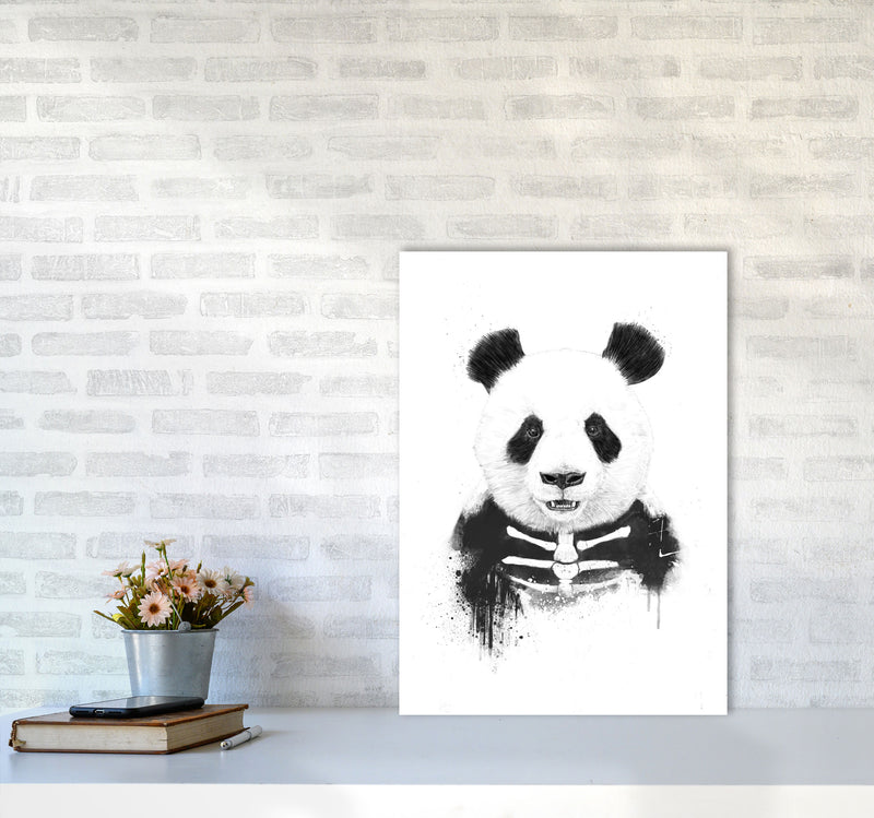 Zombie Panda Animal Art Print by Balaz Solti A2 Black Frame