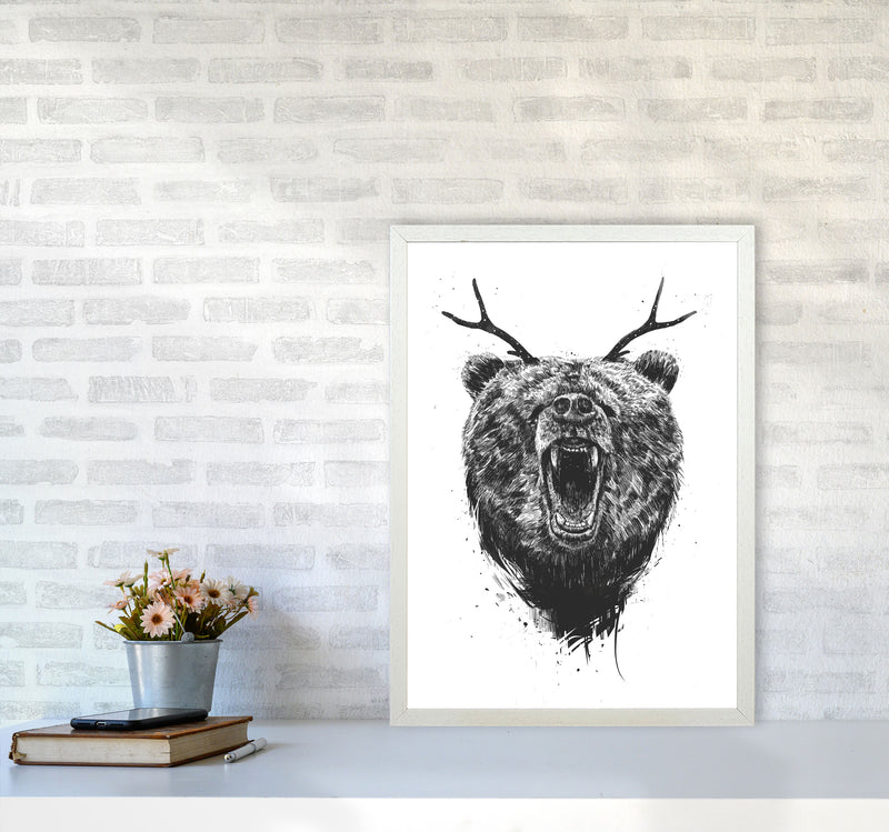 Angry Bear With Antlers Animal Art Print by Balaz Solti A2 Oak Frame