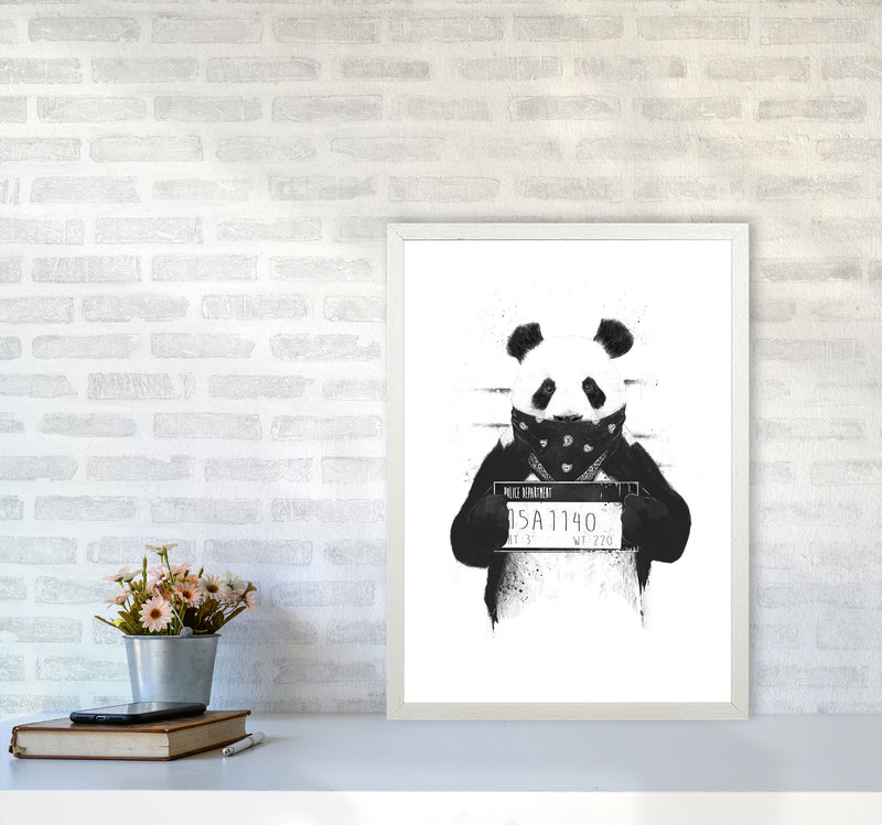 Bad Panda Animal Art Print by Balaz Solti A2 Oak Frame