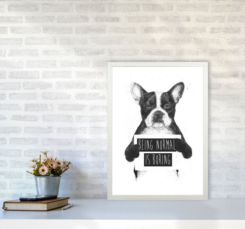 Being Normal Is Boring Animal Art Print by Balaz Solti A2 Oak Frame