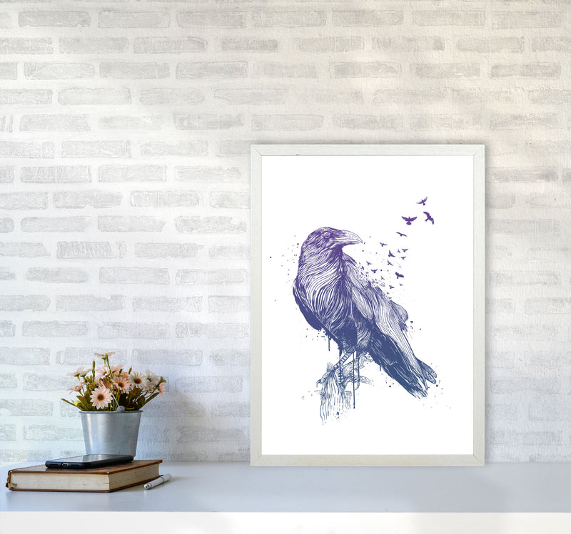 Born To Be Free Raven Animal Art Print by Balaz Solti A2 Oak Frame
