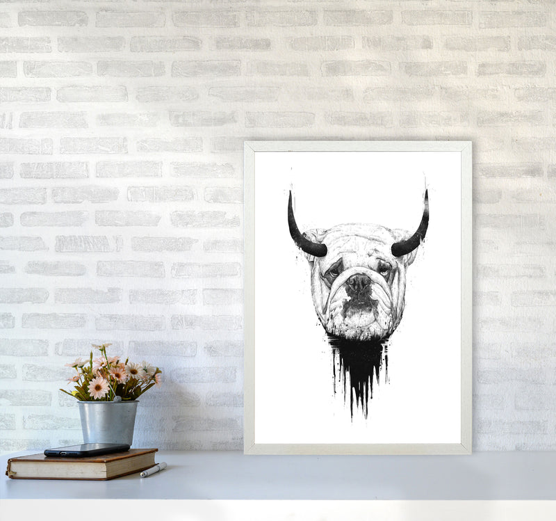 Bulldog Horns Animal Art Print by Balaz Solti A2 Oak Frame