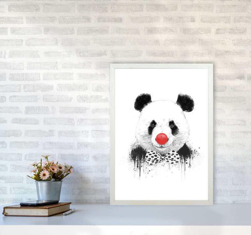 Clown Panda Animal Art Print by Balaz Solti A2 Oak Frame
