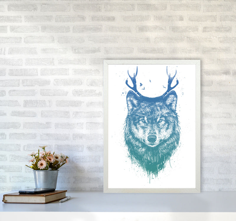 Deer Wolf Animal Art Print by Balaz Solti A2 Oak Frame