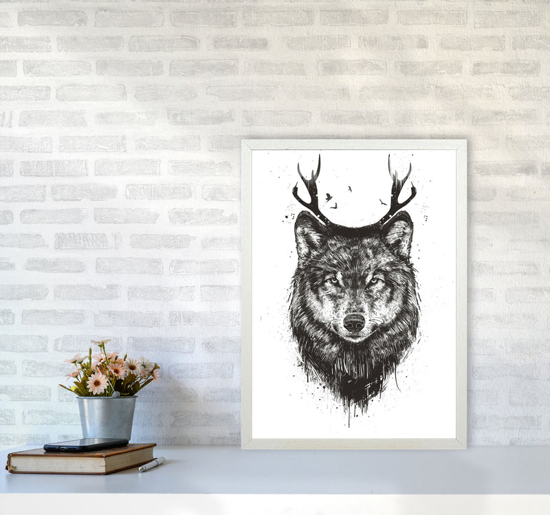 Deer Wolf B&W Animal Art Print by Balaz Solti A2 Oak Frame