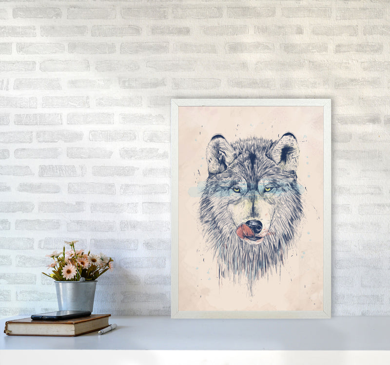 Dinner Time Wolf Animal Art Print by Balaz Solti A2 Oak Frame
