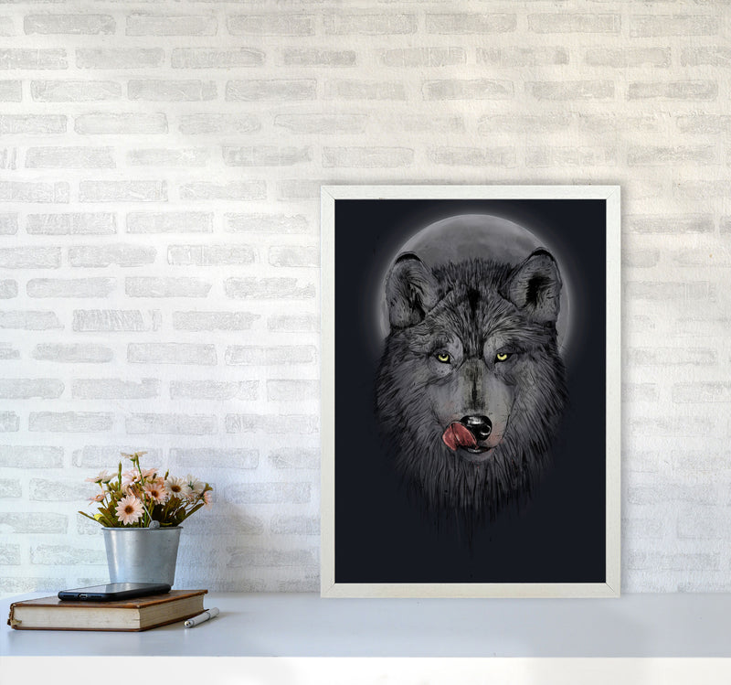 Dinner Time Wolf Night Animal Art Print by Balaz Solti A2 Oak Frame