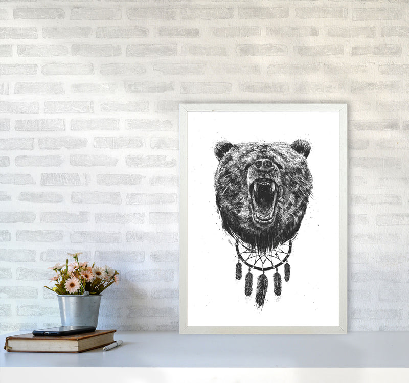 Don't Wake The Bear Animal Art Print by Balaz Solti A2 Oak Frame