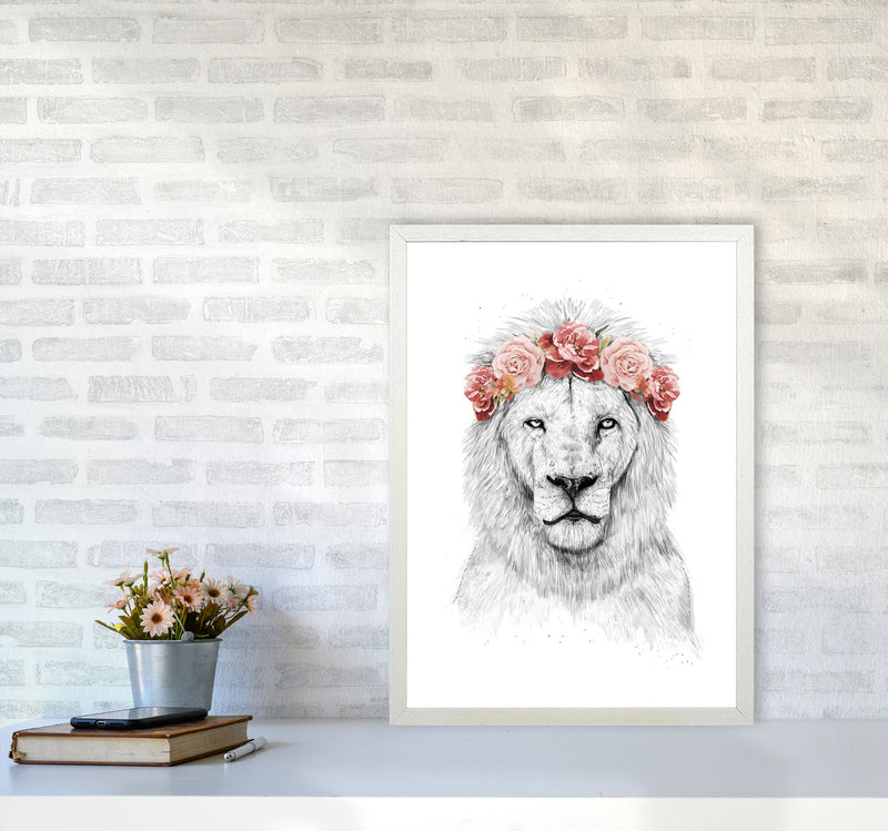 Festival Floral Lion Animal Art Print by Balaz Solti A2 Oak Frame