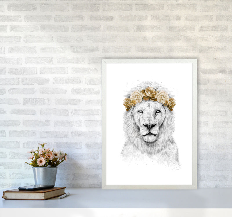 Festival Floral Lion II Animal Art Print by Balaz Solti A2 Oak Frame