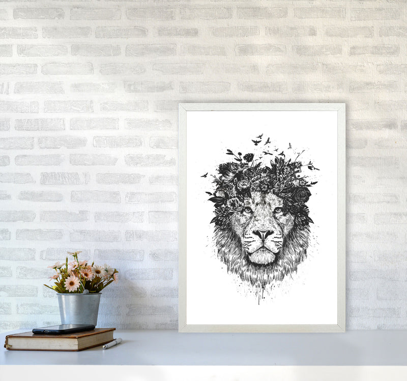 Floral Lion B&W Animal Art Print by Balaz Solti A2 Oak Frame