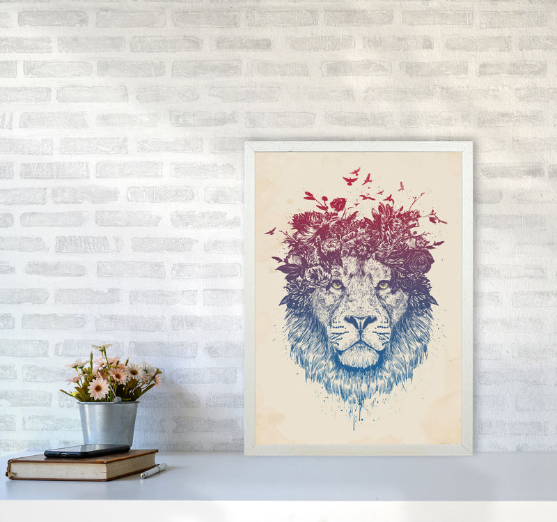 Floral Lion Animal Art Print by Balaz Solti A2 Oak Frame