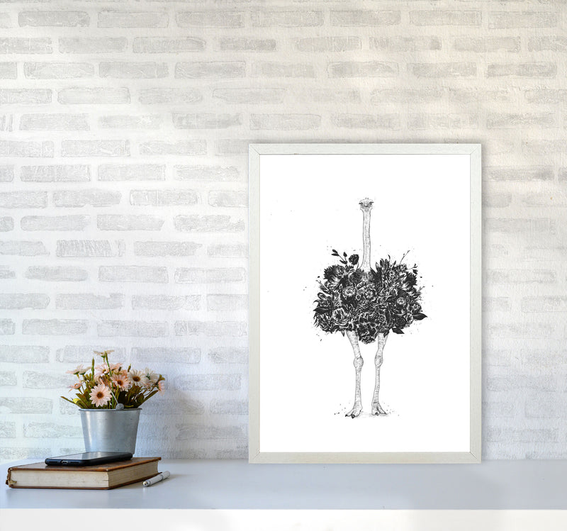Floral Ostrich Animal Art Print by Balaz Solti A2 Oak Frame