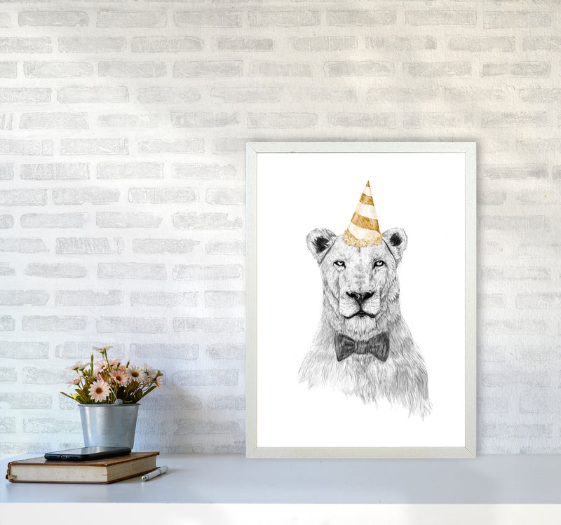 Get The Party Started Lion Colour Animal Art Print by Balaz Solti A2 Oak Frame