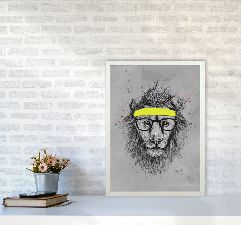 Hipster Lion Animal Art Print by Balaz Solti A2 Oak Frame