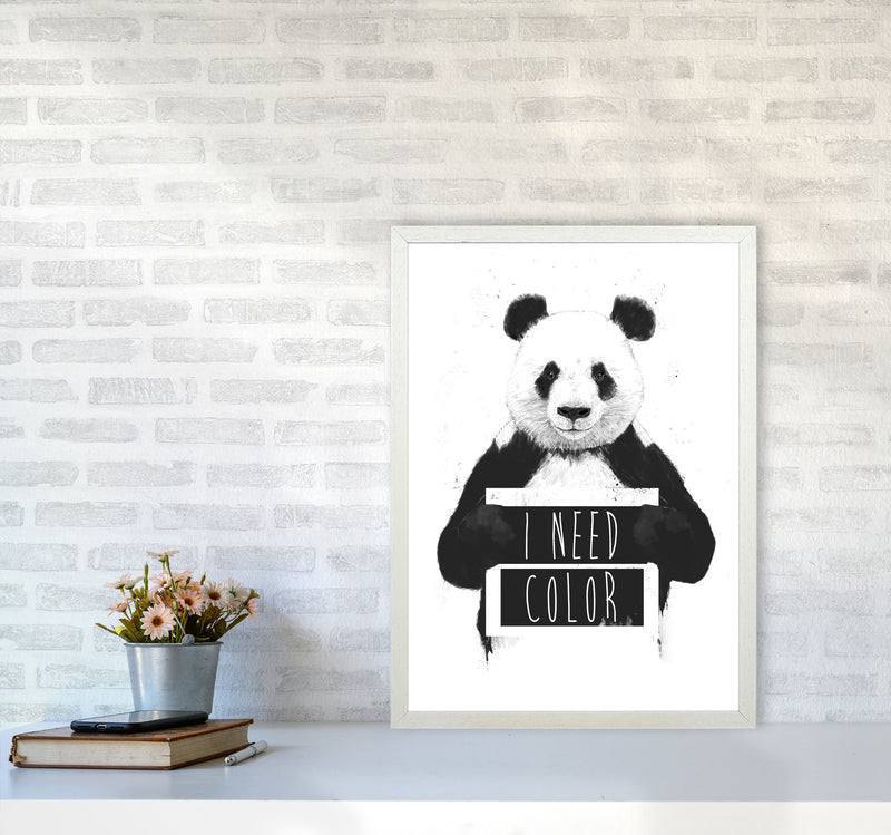 I Need Colour Panda Animal Art Print by Balaz Solti A2 Oak Frame
