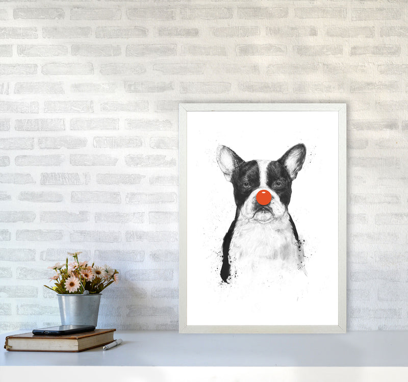 I'm Not Your Clown Bulldog Animal Art Print by Balaz Solti A2 Oak Frame