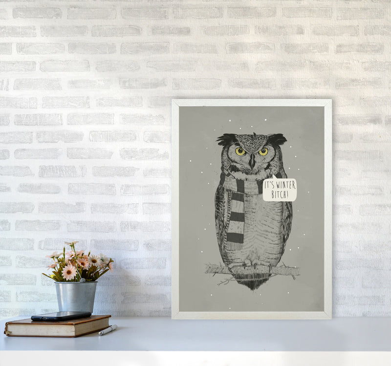 It's Winter B*tch Animal Art Print by Balaz Solti A2 Oak Frame