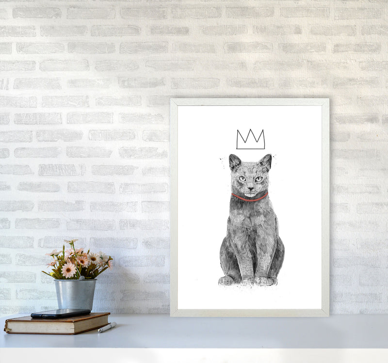 King Of Everything Animal Art Print by Balaz Solti A2 Oak Frame